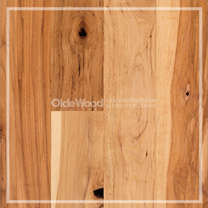 Traditional Plank Hickory 4" to 8" Random Widths - Natural Oil Prefinish