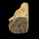 Hand Hewn Wood Mantel - Rustic Fireplace Mantel - 6" x 7.5" x 78"