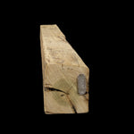 Hand Hewn Wood Mantel - Rustic Fireplace Mantel - 6" x 6" x 74"