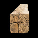 1448 - Rough Sawn Mantel - 8.5" x 9" x 86"