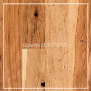 Traditional Plank Hickory 5" to 8" Random Widths - Oil Finish